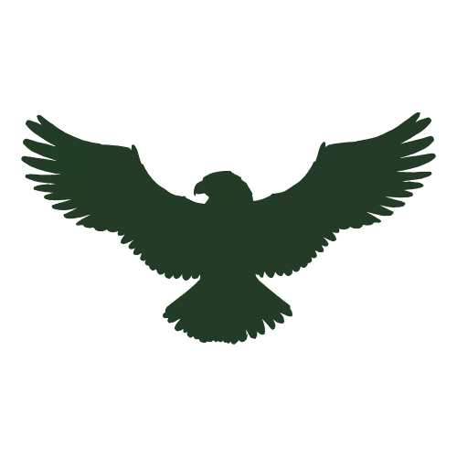 Falconry Session