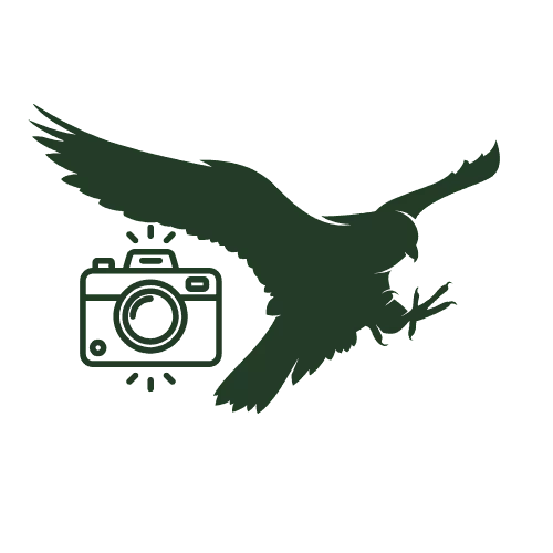 Get Pictures with Falcons