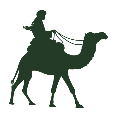 camel riding