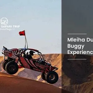 Mleiha Dune Buggy Experience