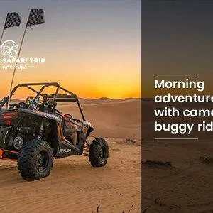 Morning Desert Adventure