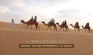 Desert Safari in Dubai | Desert safari Dubai Tours Blog Banner by Dubai Desert Safari Trip