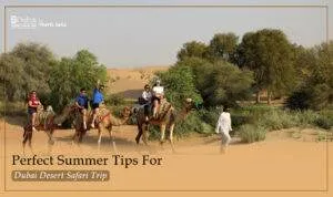 Desert Safari Dubai | Dubai summer travel tips Blog Banner by Dubai Desert Safari Trips