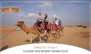 Desert Safari Tour Blog Banner by Dubai Desert Safari Trip