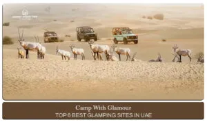 UAE glamping sites | glamping in UAE Blog Banner by Dubai Desert Safari Trip