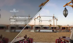 desert safari Dubai | VIP desert safari Dubai blog banner by Dubai desert safari trip