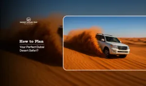 Dubai Desert Safari, Best desert safari in Dubai Blog Banner by Dubai Desert Safari Trip