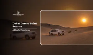 Dubai desert safari sunrise | Dubai desert sunset tour Blog Banner by Dubai Desert Safari Trip