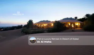 luxury desert retreat Dubai at Al Maha | Al Maha desert resort ultra-luxury villas Blog Banner by Dubai Desert Safari Trip