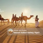 Dubai desert safari safety | safety tips for desert safari Dubai Blog Banner by Dubai Desert Safari Trip