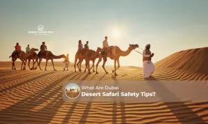 Dubai desert safari safety | safety tips for desert safari Dubai Blog Banner by Dubai Desert Safari Trip