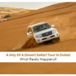 Desert Safari Tour in Dubai | Dubai desert safari itinerary Blog Banner by Dubai Desert Safari Trip